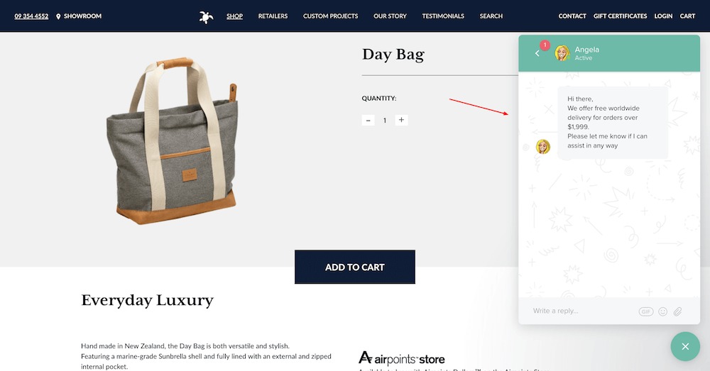 ecommerce product page  - chatbot