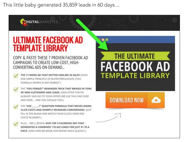 lead magner example - template