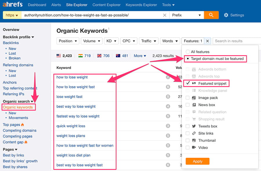 SaaS marketing strategies - content marketing ahrefs