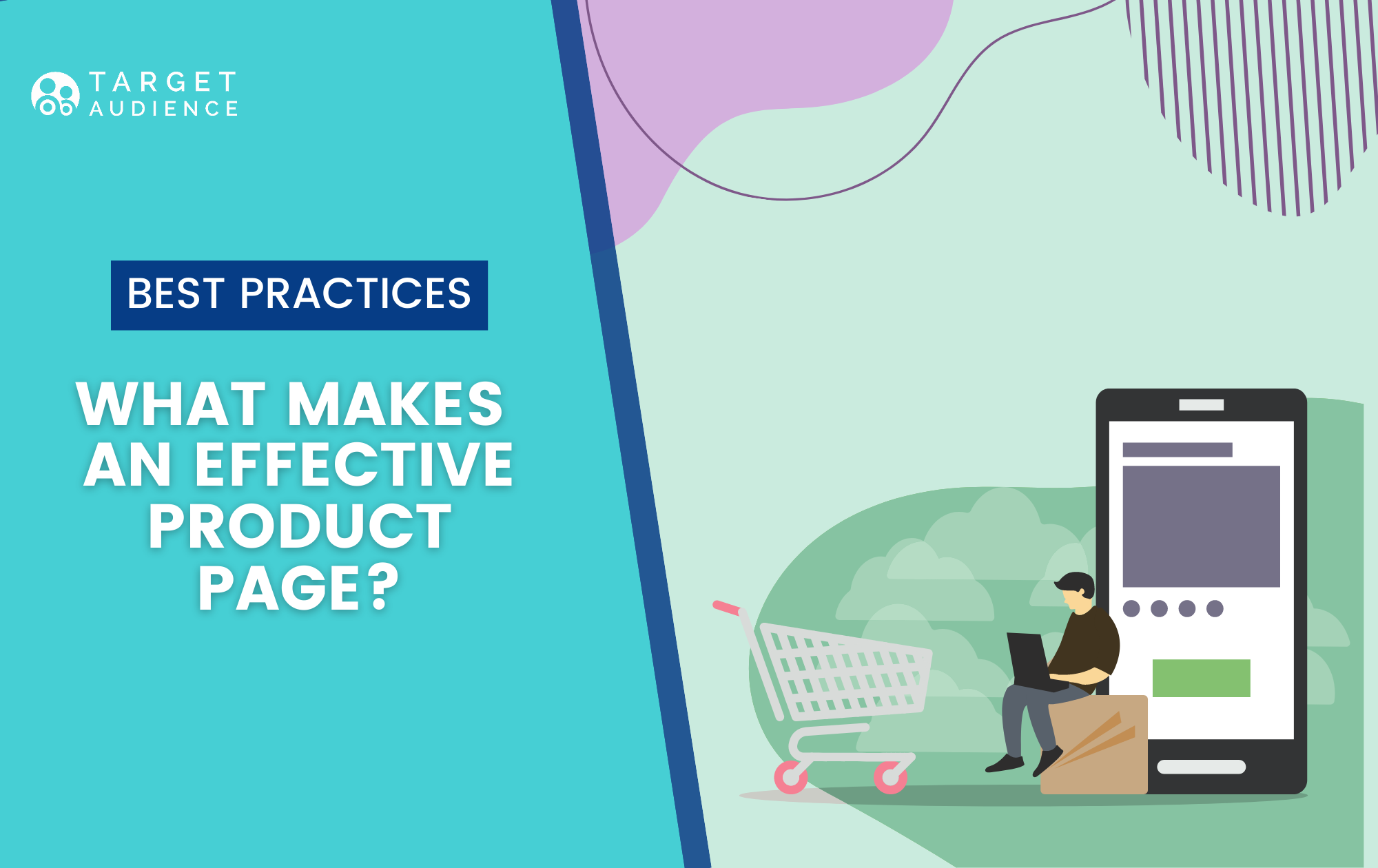 An Effective Ecommerce Product Page Best Practices and Examples picture